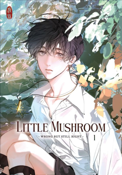 Little Mushroom – Wrong but still right 1